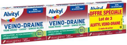 Alvityl - Veino-Draine lot de 3x30 gélules