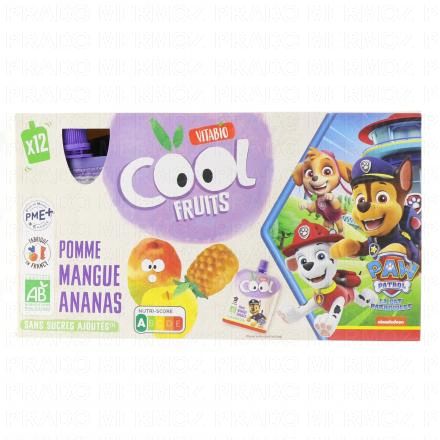 BABYBIO Cool fruits - Gourdes La Pat's Patrouille pomme mangue ananas (12 unités de 90g)