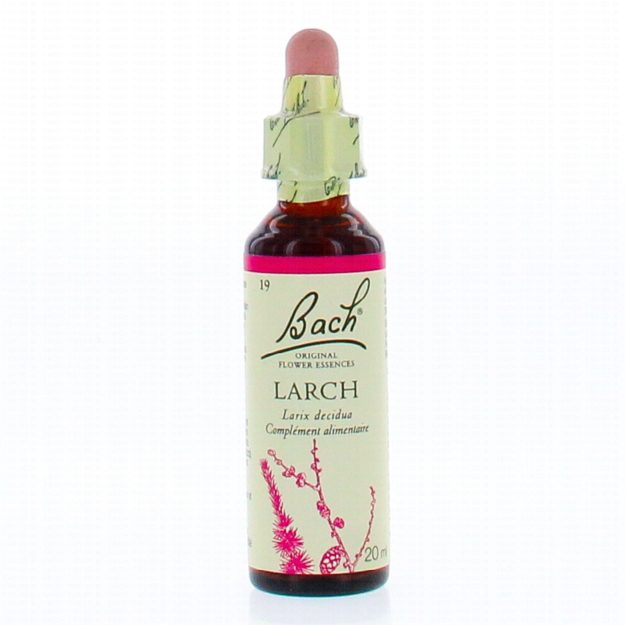 FLEUR DE BACH Original n°19 Larch fleur de bach flacon 20ml ...