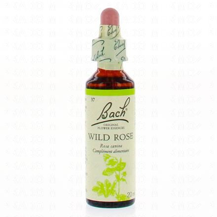 FLEUR DE BACH Original n°37 Wild rose fleur de bach flacon compte-gouttes 20ml