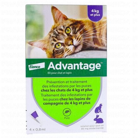 Advantage 80 pour chat et lapin de 4kg et plus 4x 0.8ml