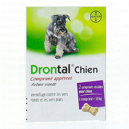 DRONTAL chien comprimés appétents (boîte de 2 comprimés)