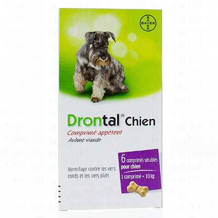 DRONTAL chien comprimés appétents (boîte de 6 comprimés)