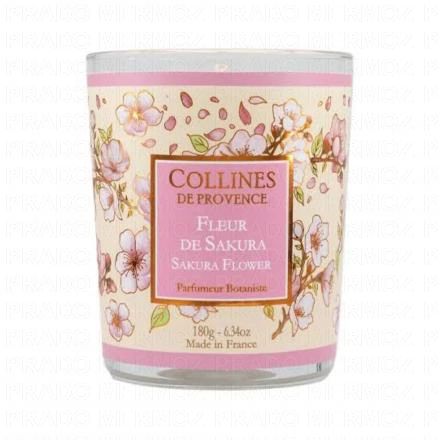 COLLINES DE PROVENCE Bougie parfumée Fleur de Sakura 180g