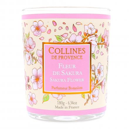 COLLINES DE PROVENCE Bougie parfumée Fleur de Sakura 180g