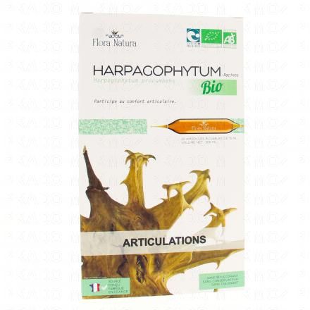 FLORA NATURA Harpagophytum Bio 20 Ampoules de 15ml