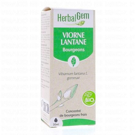 HERBALGEM Concentré du bourgeons frais - Viorne Lantane bourgeons Bio 30ml