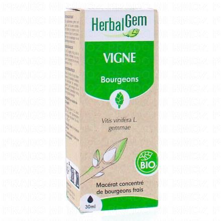 HERBALGEM Concentré de bourgeons frais - Vigne bourgeons 30ml