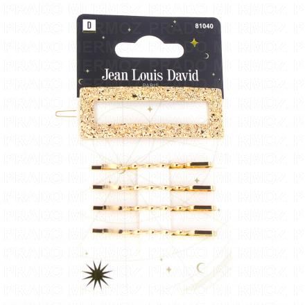 JEAN LOUIS DAVID Set barrettes et pinces guiches