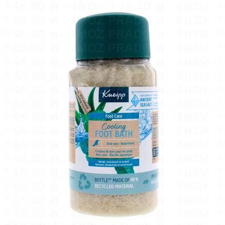 KNEIPP Foot Care Cooling - Cristaux de bains pour pieds 600g