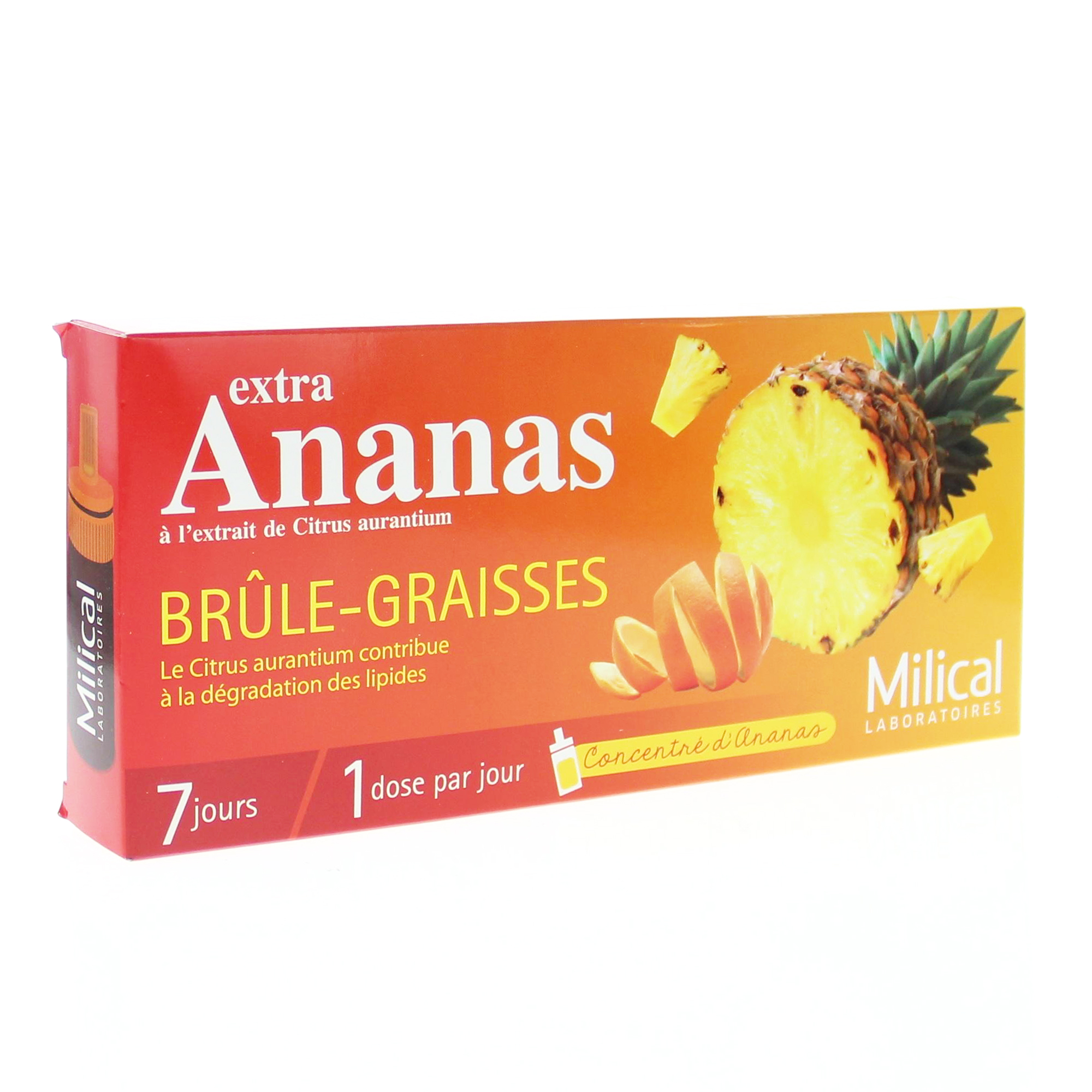 Ananas givré artisanal 100 ML/90 G - Réseau Krill