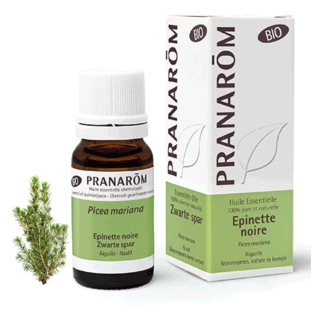 PRANAROM Huile essentielle Epinette noire bio 10ml