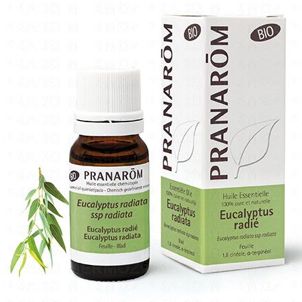 PRANAROM Huile essentielle Eucalyptus Radie bio flacon 10ml