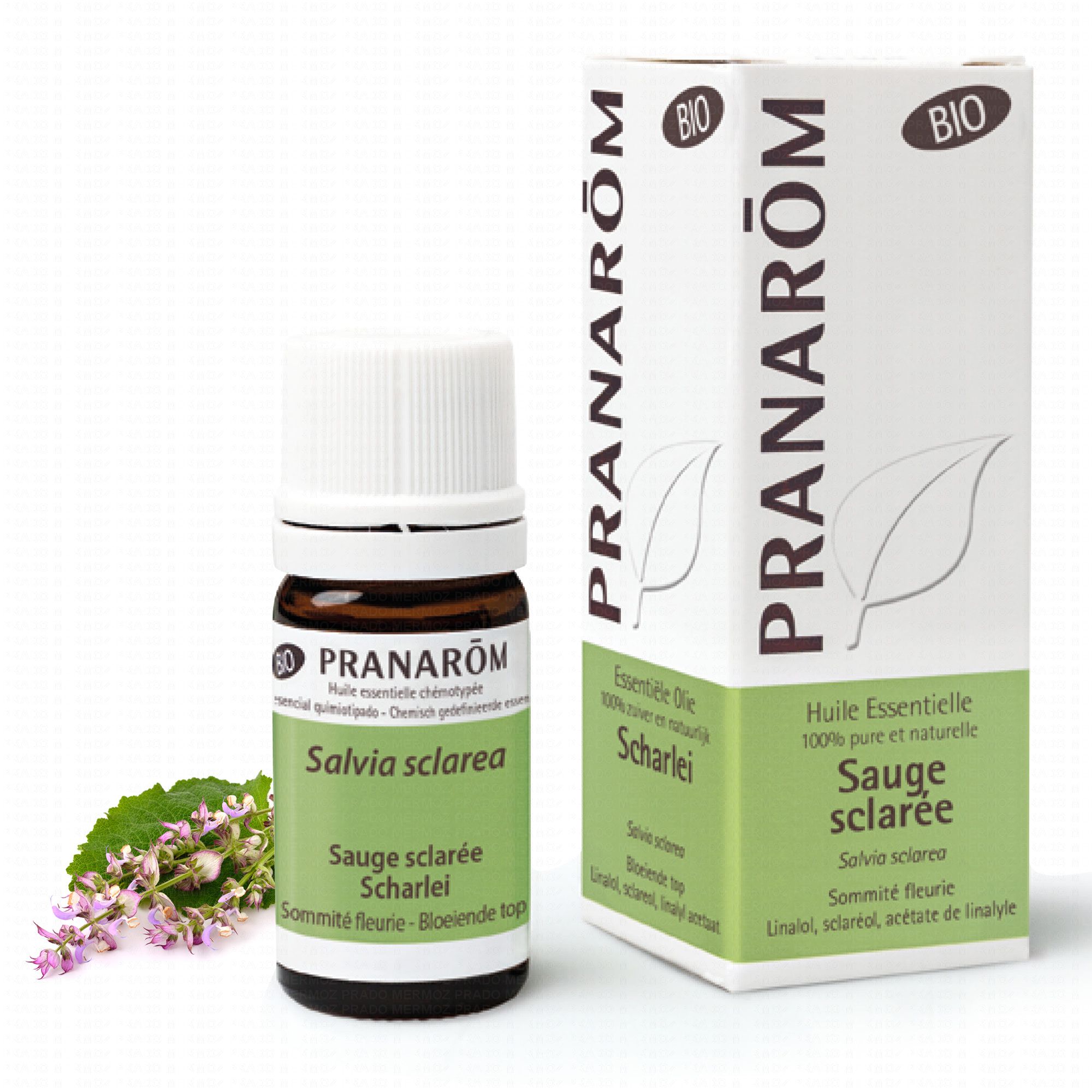 PRANAROM Huile essentielle Sauge Sclarée bio flacon 5ml - Parapharmacie  Prado Mermoz