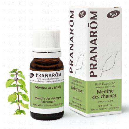 PRANAROM Huile essentielle menthe des champs bio 10ml