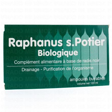 Raphanus Potier 12 ampoules 2