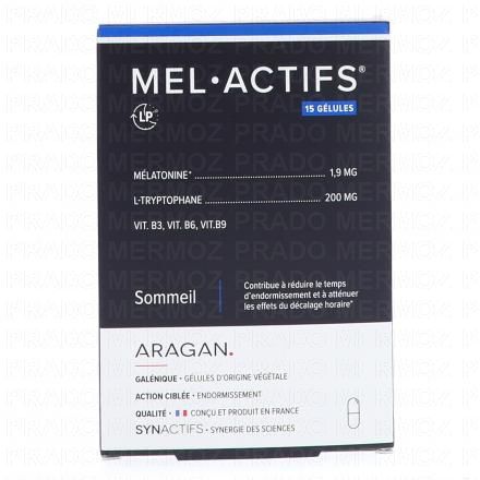 Synactifs - Mel Actifs 15 gélules 2