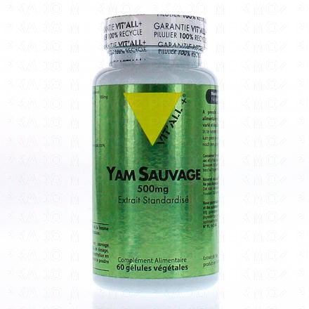 VIT'ALL+ Yam Sauvage 60 gélules