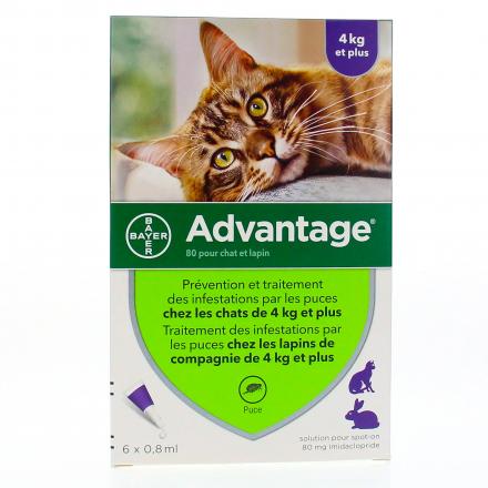 Advantage 80mg chat/lapin pipette 0.8ml x 6