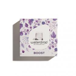WATERDROP Microdrink - Boost x12 cubes