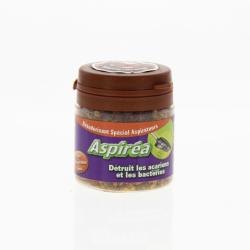 ASPIREA Cannelle/orange désodorisant spécial aspirateurs flacon 60g