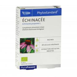 PILEJE Phytostandard echinacee 20 comprimés