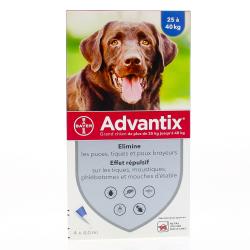 Antipuce Tique Veterinaire Parapharmacie En Ligne Pharmacie Prado Mermoz