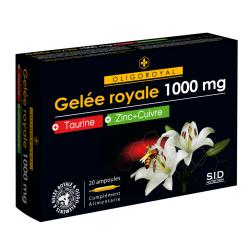 SID NUTRITION Oligoroyal gelée royale 1000mg - taurine & zinc de cuivre boîte de 20 ampoules de 10ml