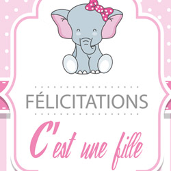 Carte cadeau : Félicitations c'est une Fille