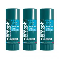 DERMOPHIL Stick protection des lèvres desséchées naturel lot de 3 sticks 4g