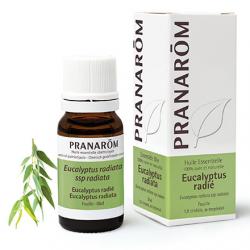 PRANAROM Huile essentielle Eucalyptus Radié flacon 10ml