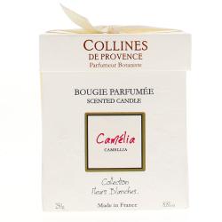 COLLINES DE PROVENCE Bougie Parfumée parfum Camélia 250g