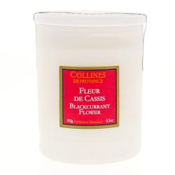 COLLINES DE PROVENCE Bougie Parfumée Fleur de Cassis 180g