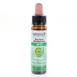 LADRÔME Elixir Floral N°7 Châtaignier (n°30 Sweet Chesnut) 10ml