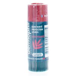 DERMOPHIL Stick soin teinté protection des lèvres rose poudré 4g