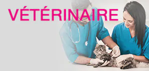 Promotions Vétérinaire