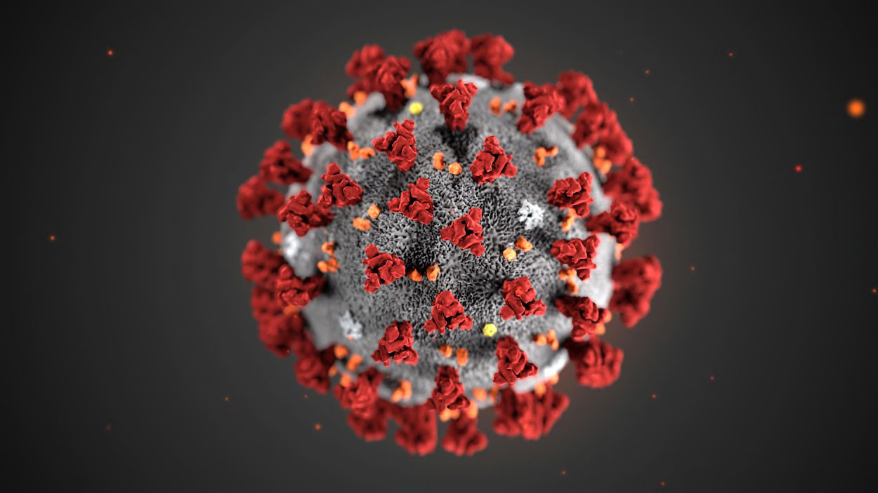 coronavirus-modele-cdc.jpg.jpg